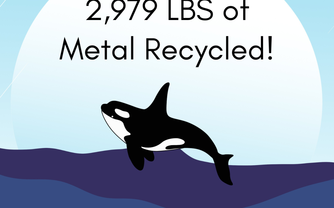 Scrap University Kids, DTG RECYCLE & The Washington Scuba Alliance Metal Recycling Event Results!
